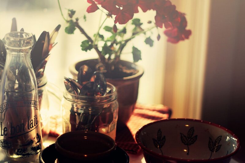 Sunlit kitchen table with flowers
