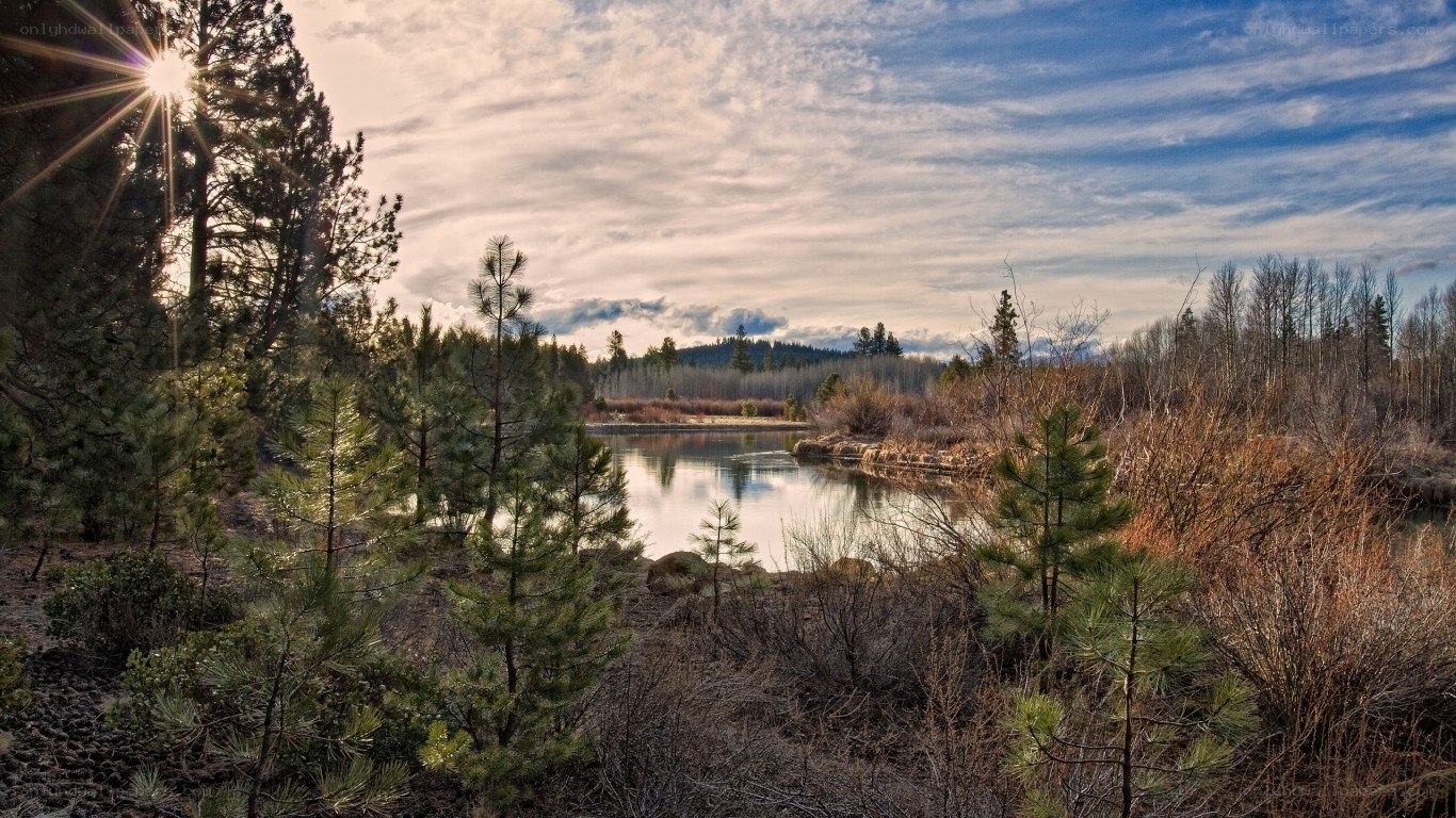 Sunlit lake in forest