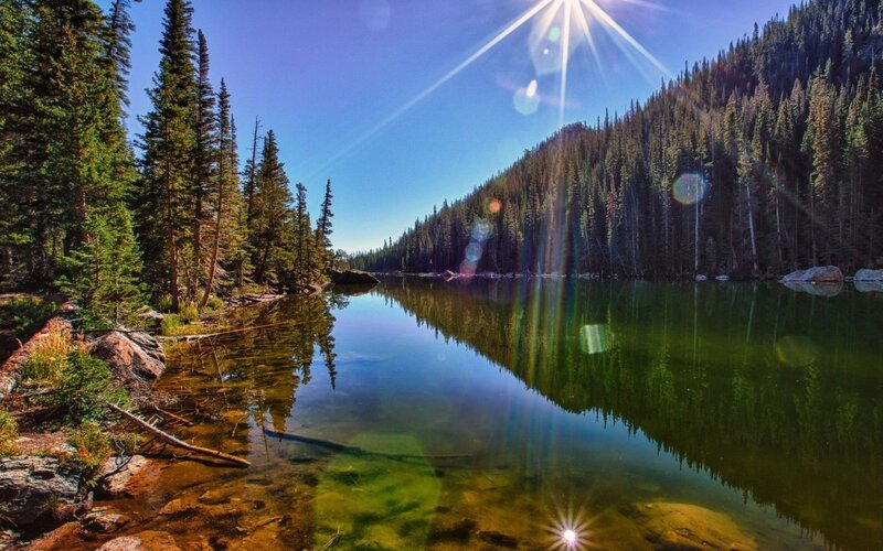 Sunlit lake in forest