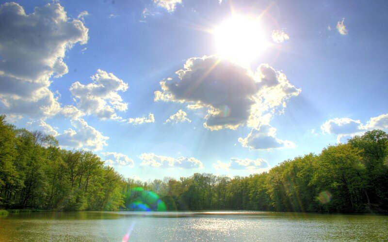 Sunlit Lake in Forest — Blue