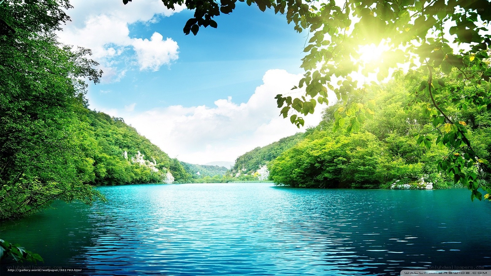 Sunlit lake in forest valley