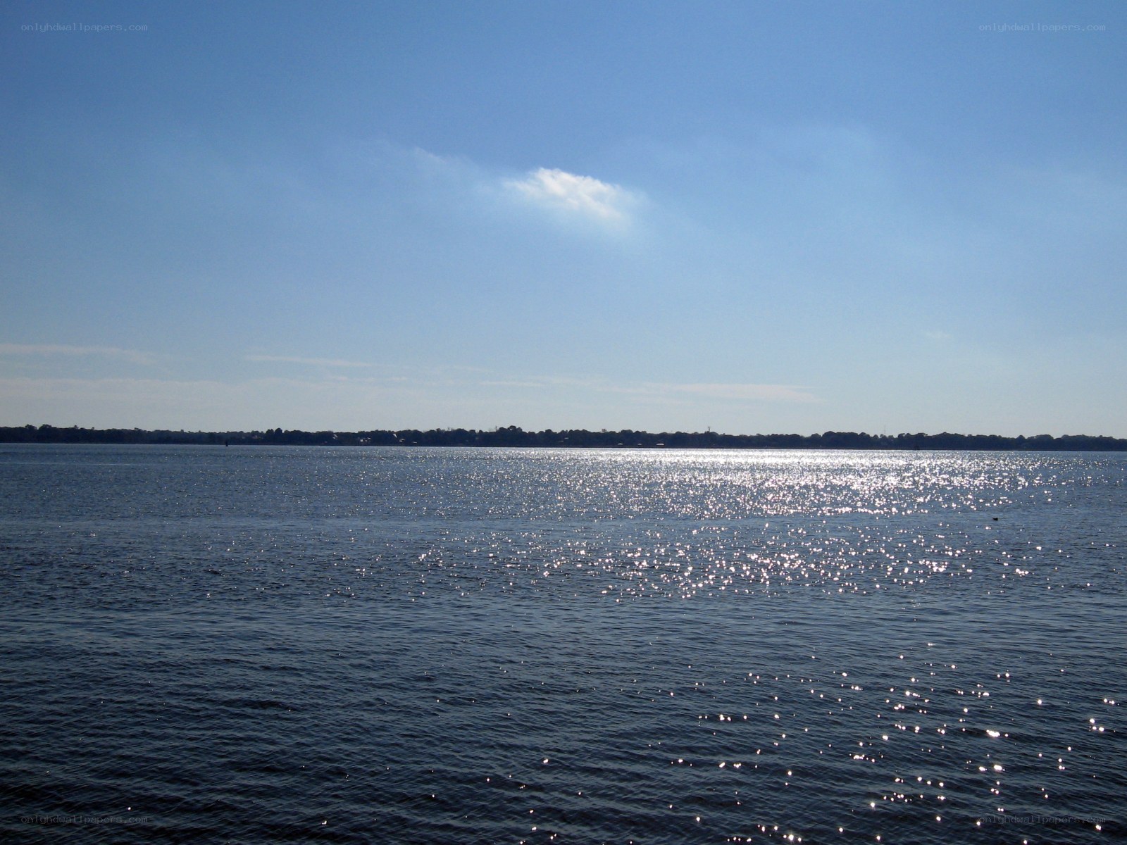Sunlit lake with distant shore