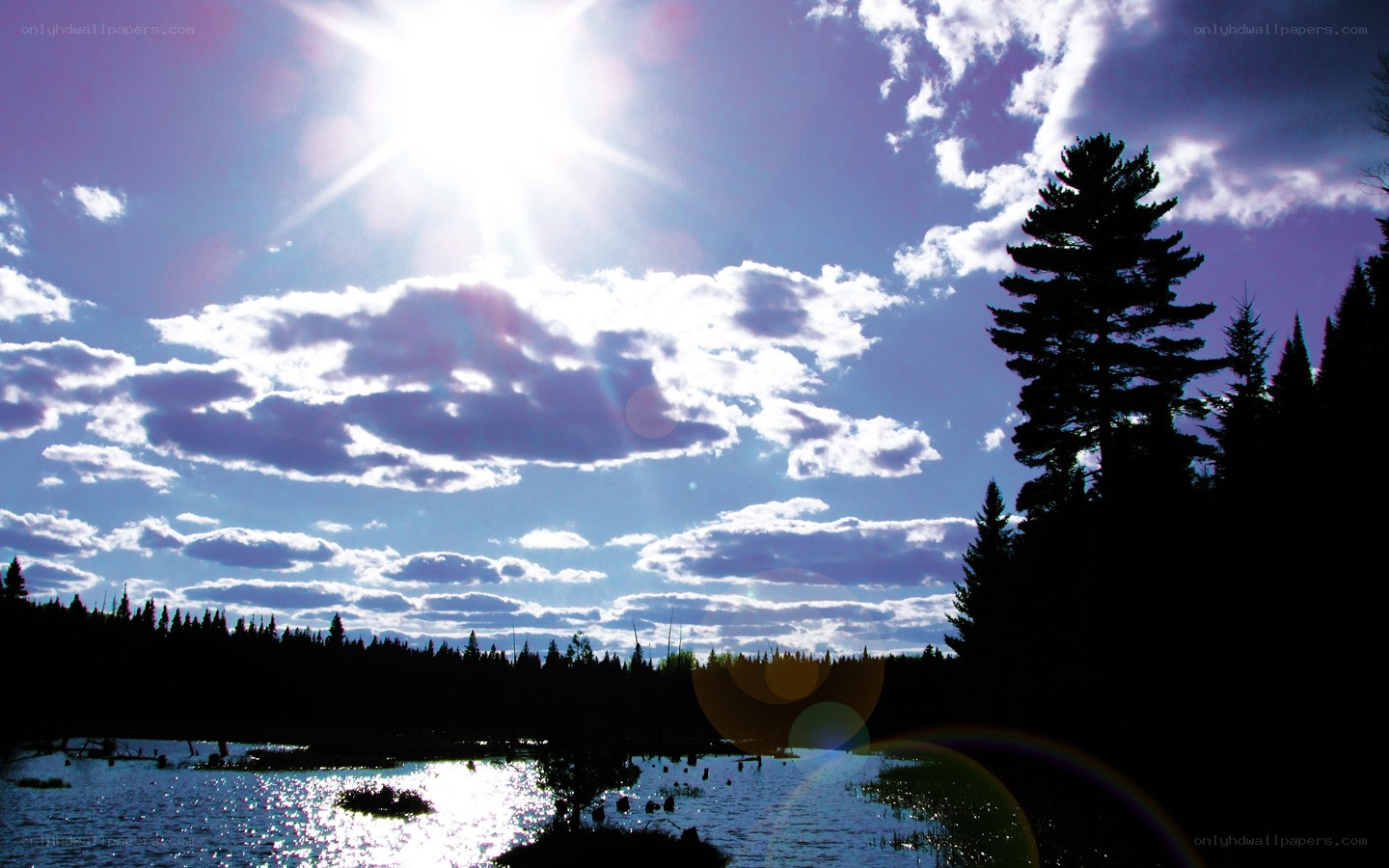 Sunlit lake with forest silhouettes