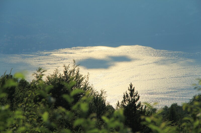 Sunlit lake with forest view