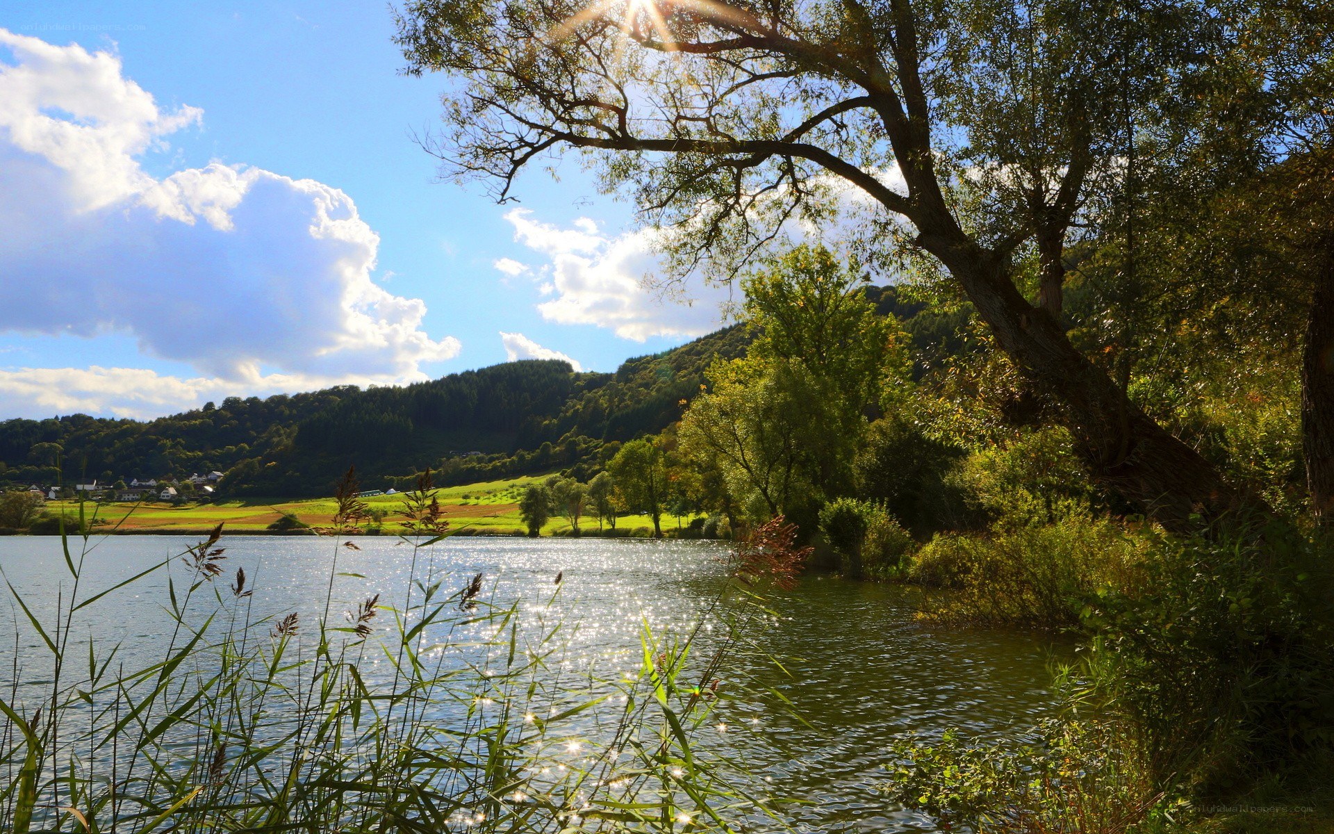 Sunlit lake with trees and hills