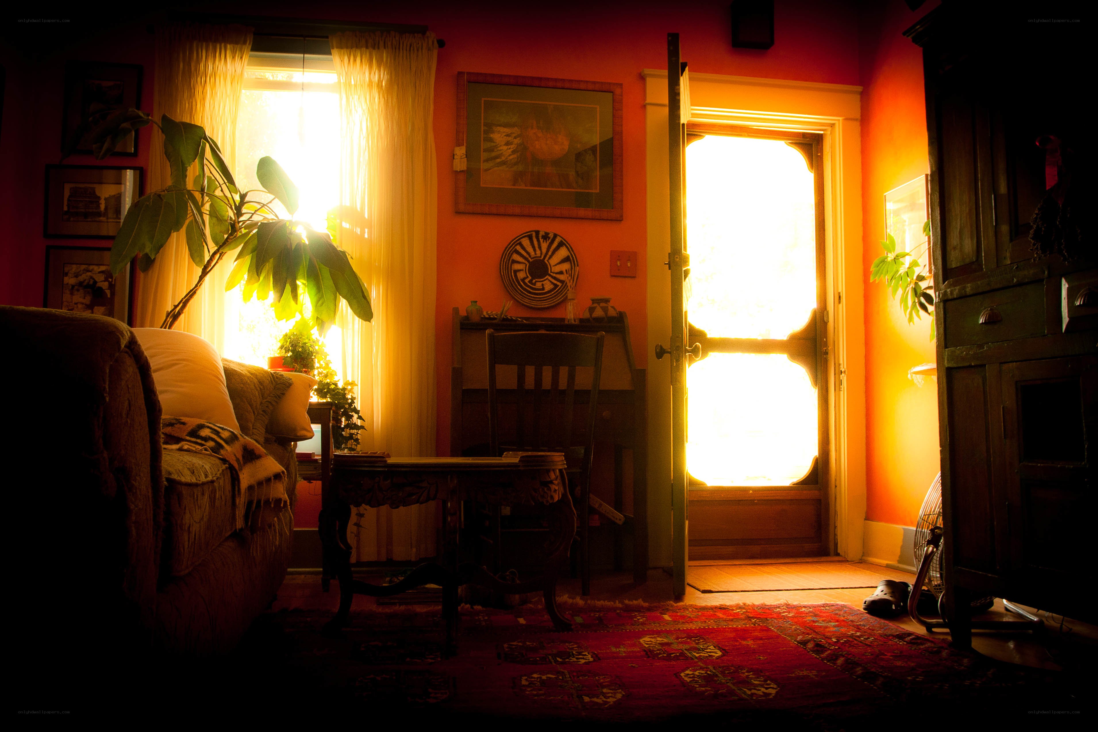 Sunlit living room interior