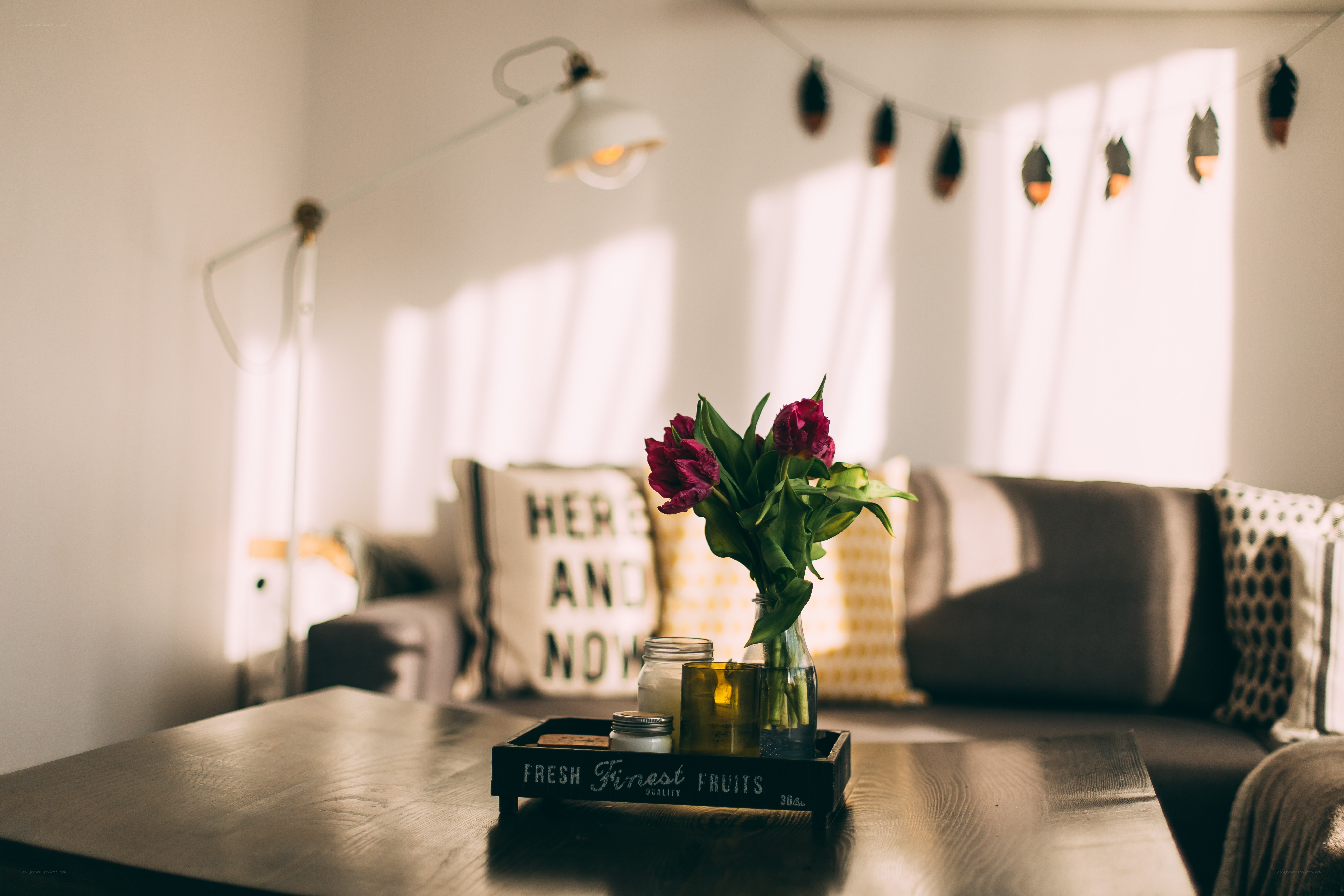 Sunlit living room with flowers