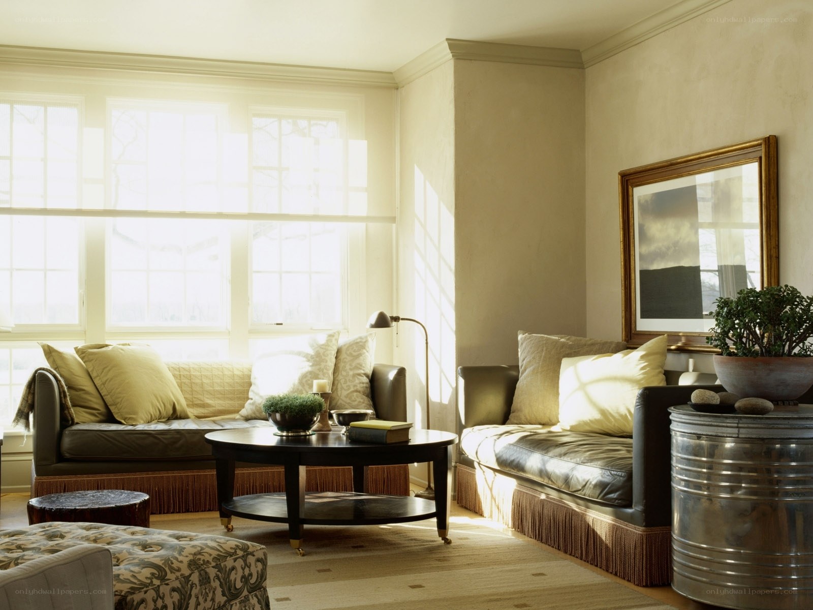 Sunlit living room with sofas