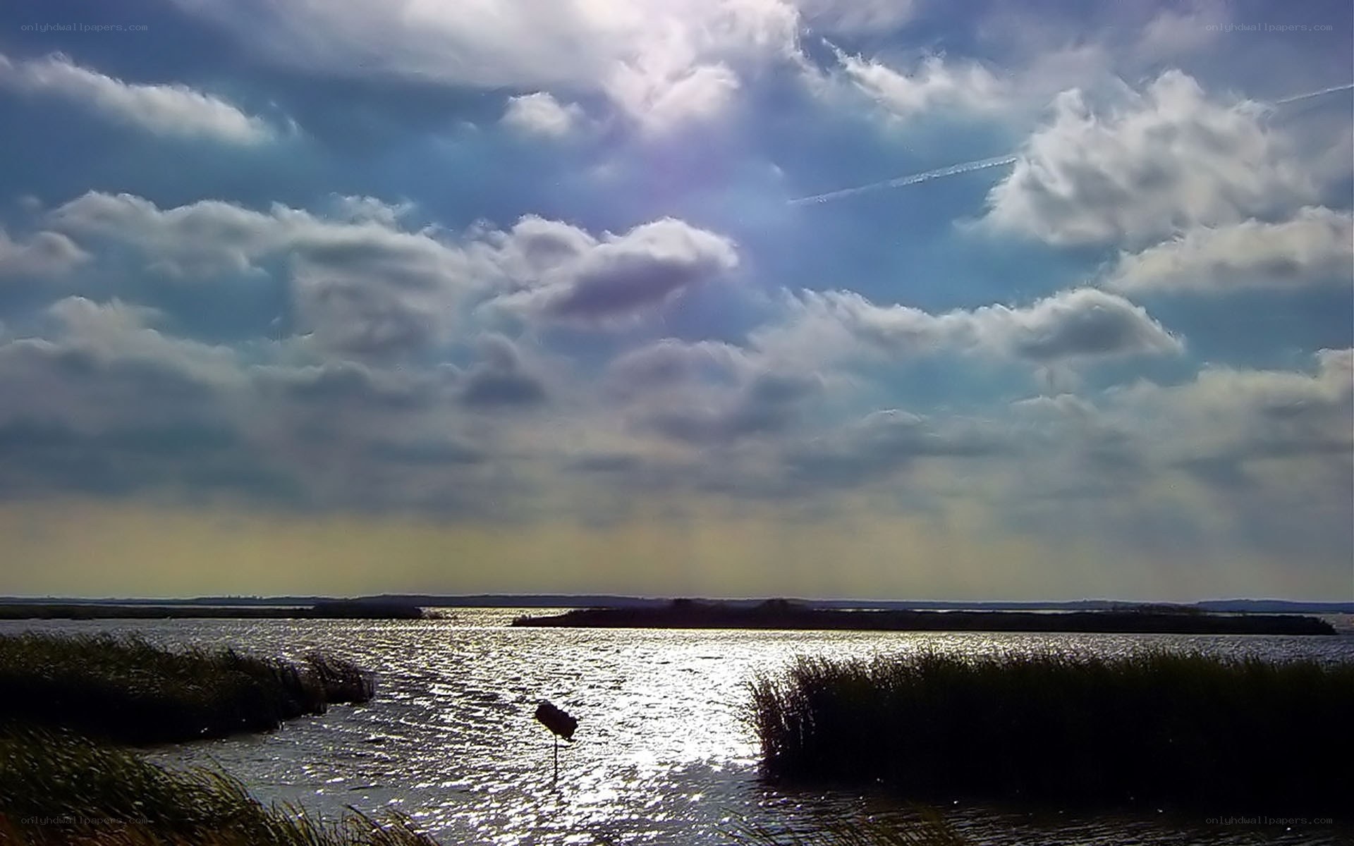 Sunlit marsh with clouds