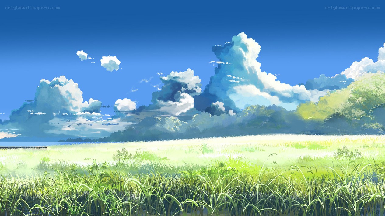 Sunlit meadow under blue sky