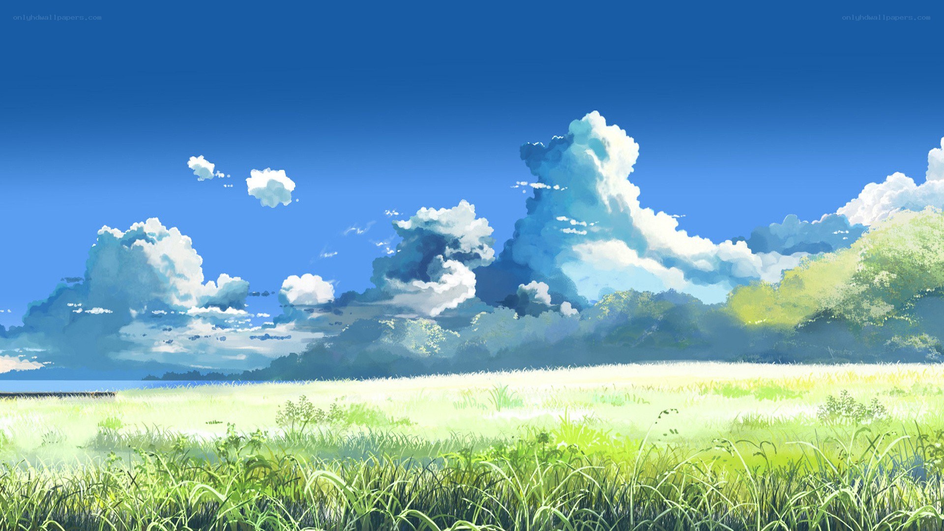 Sunlit meadow under blue sky