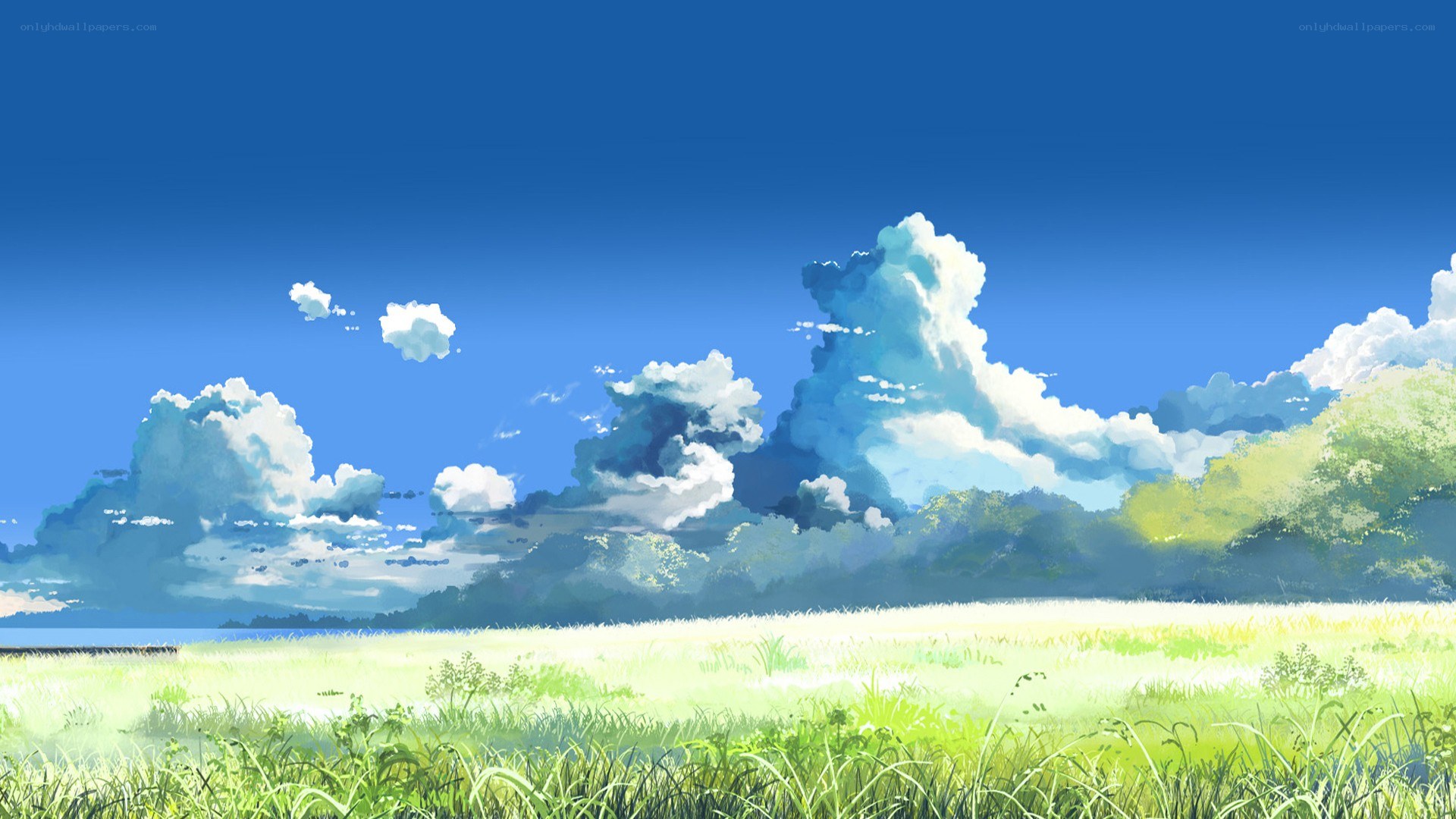 Sunlit meadow under blue sky