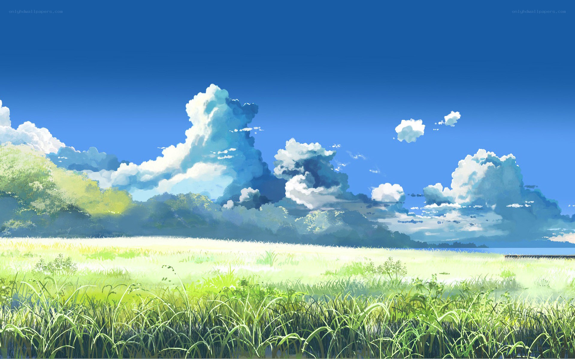 Sunlit meadow under blue sky