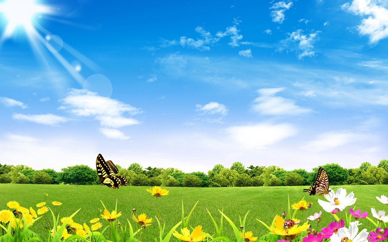 Sunlit meadow with butterflies