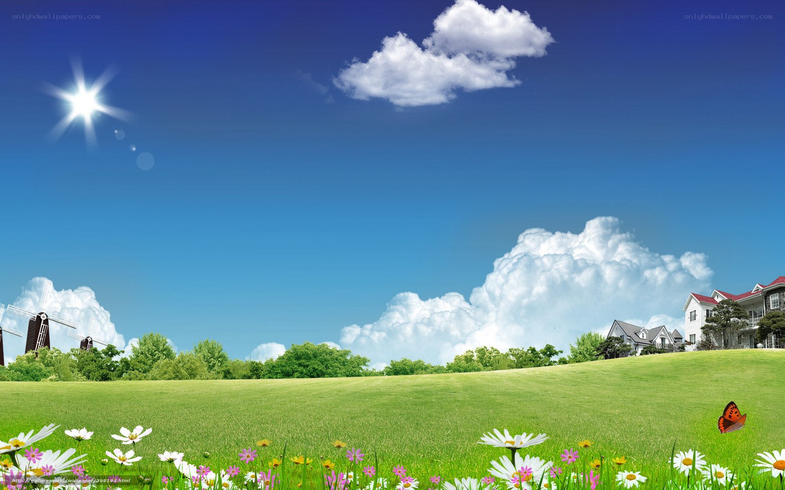 Sunlit meadow with flowers