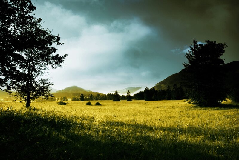 Sunlit Meadow with Mountains