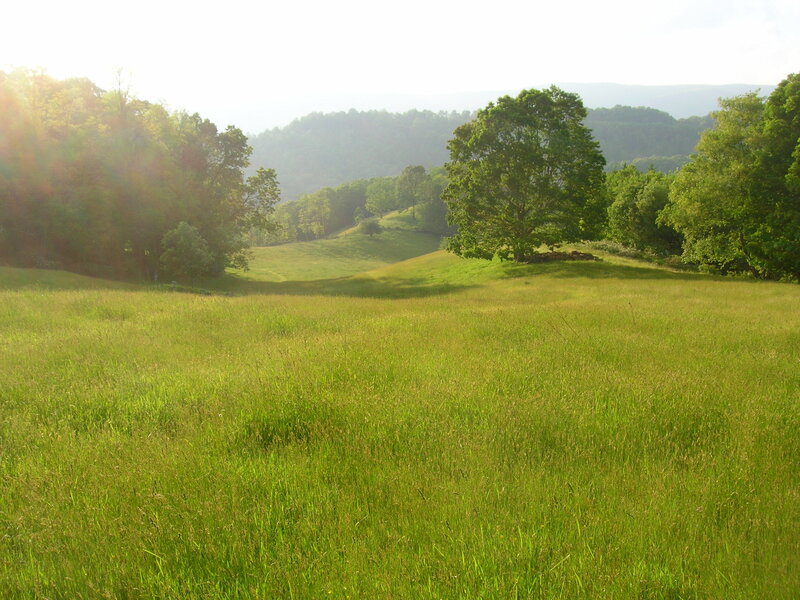 Sunlit meadow with rolling hills