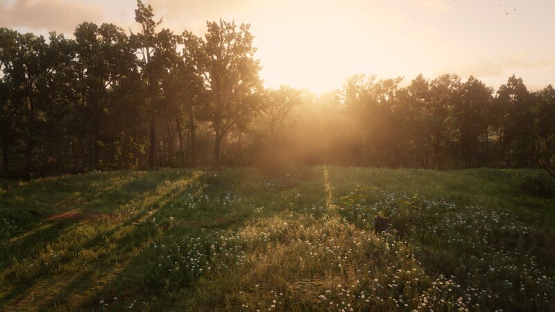 Sunlit Meadow with Trees — Green, Serene, Sunset