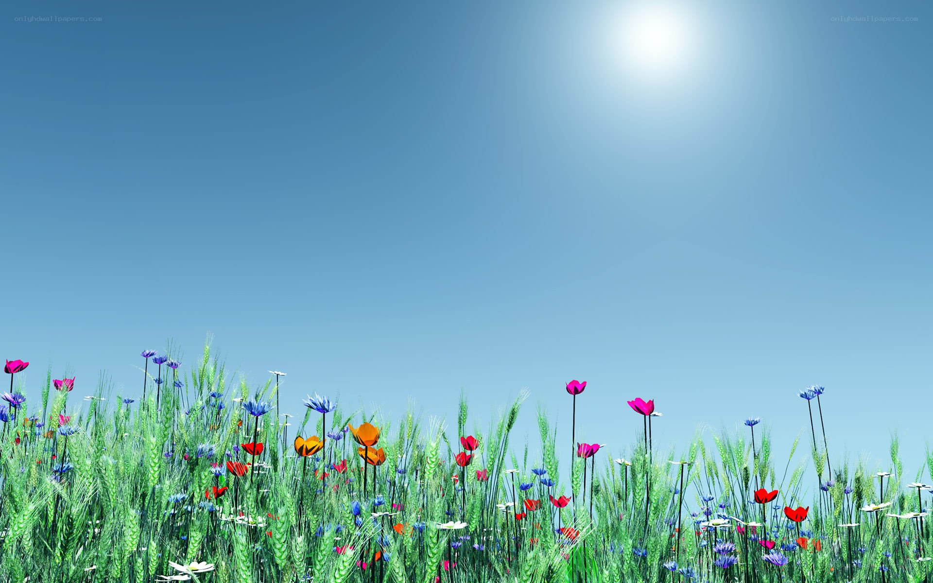 Sunlit meadow with wildflowers