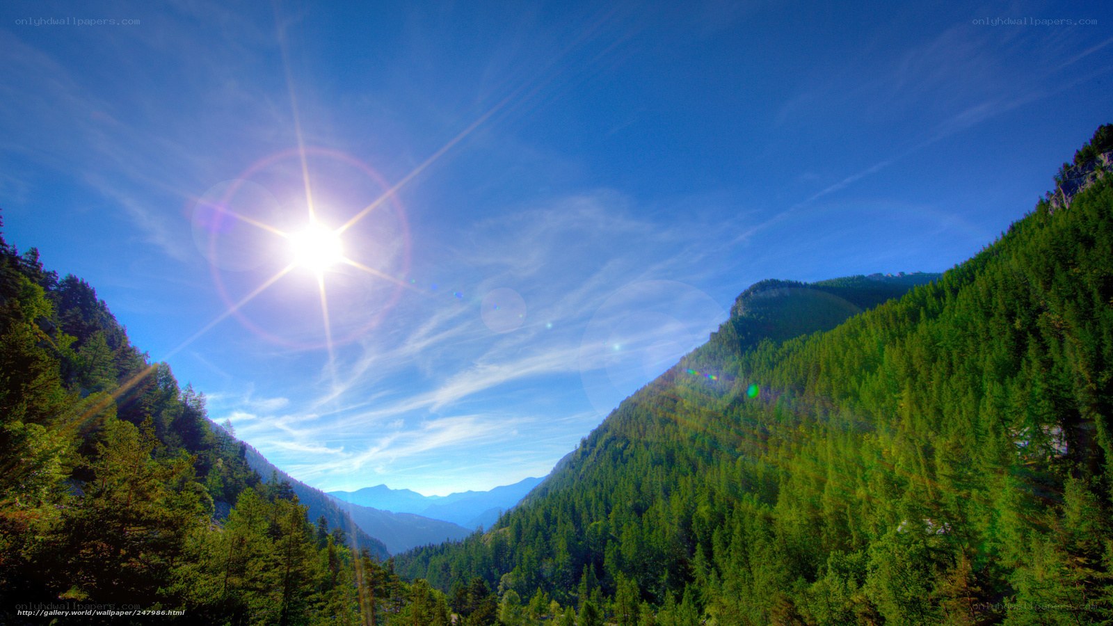 Sunlit mountain forest valley