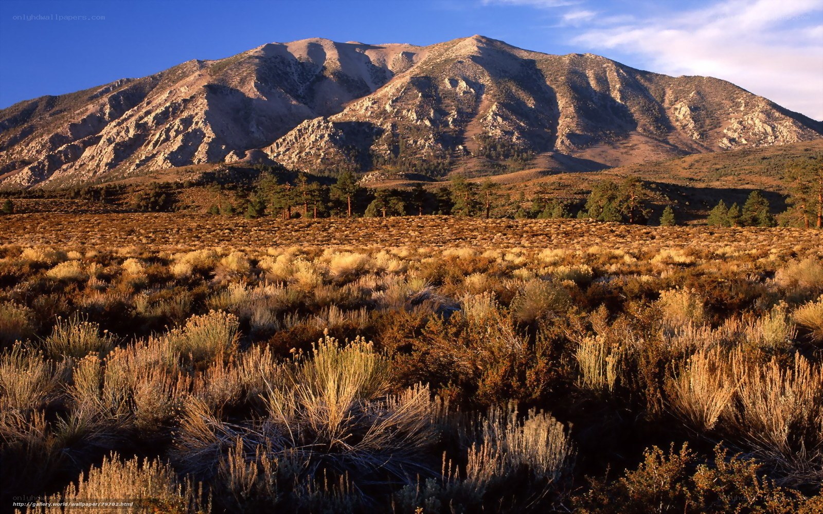 Sunlit mountain landscape