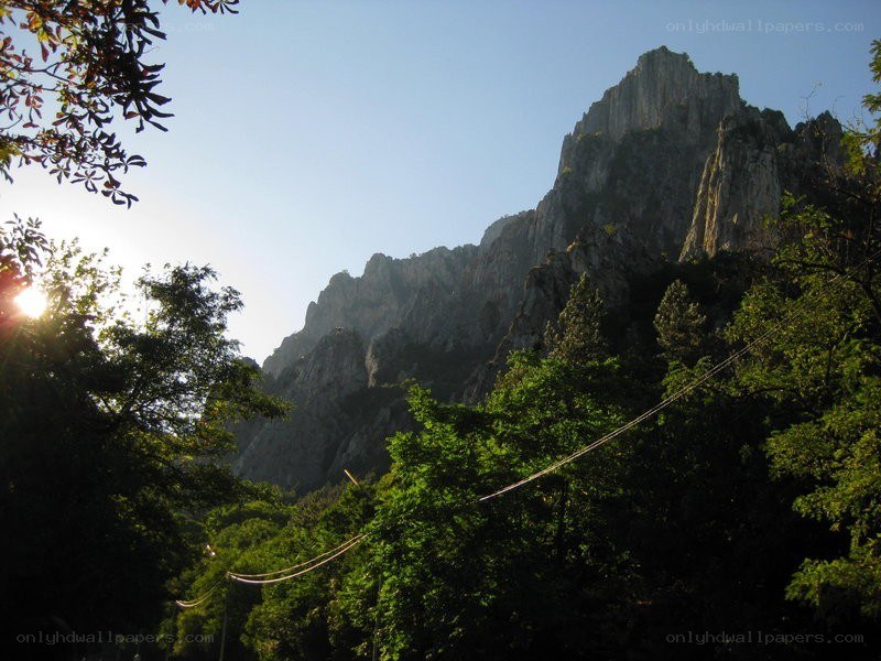 Sunlit mountain peak through trees