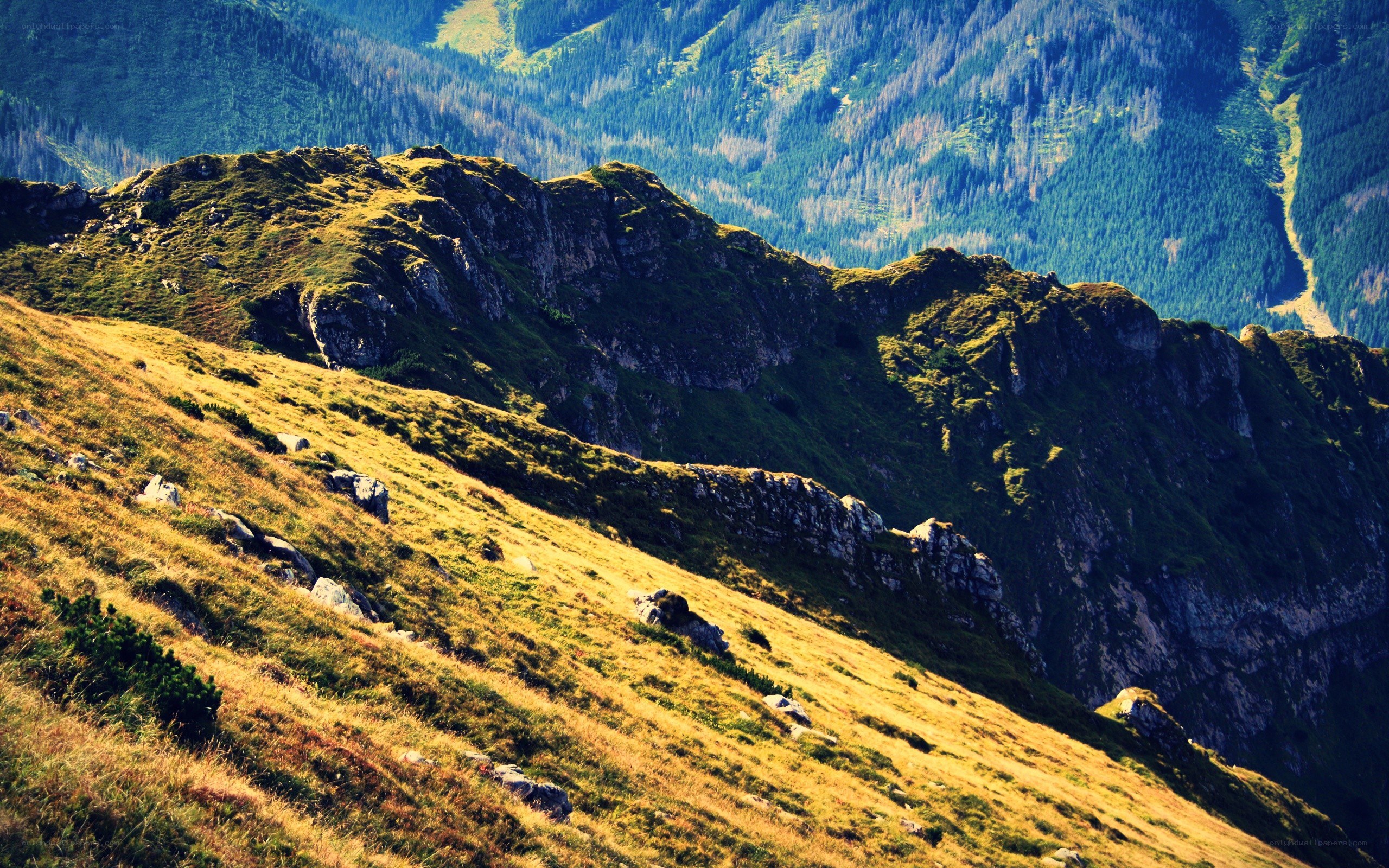 Sunlit mountain ridge landscape