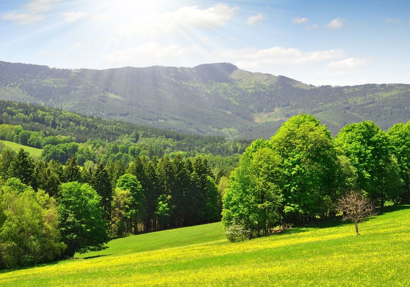 Sunlit mountain valley landscape