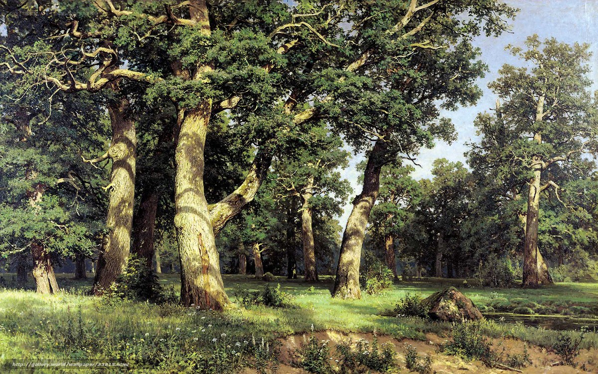 Sunlit Oak Forest Landscape