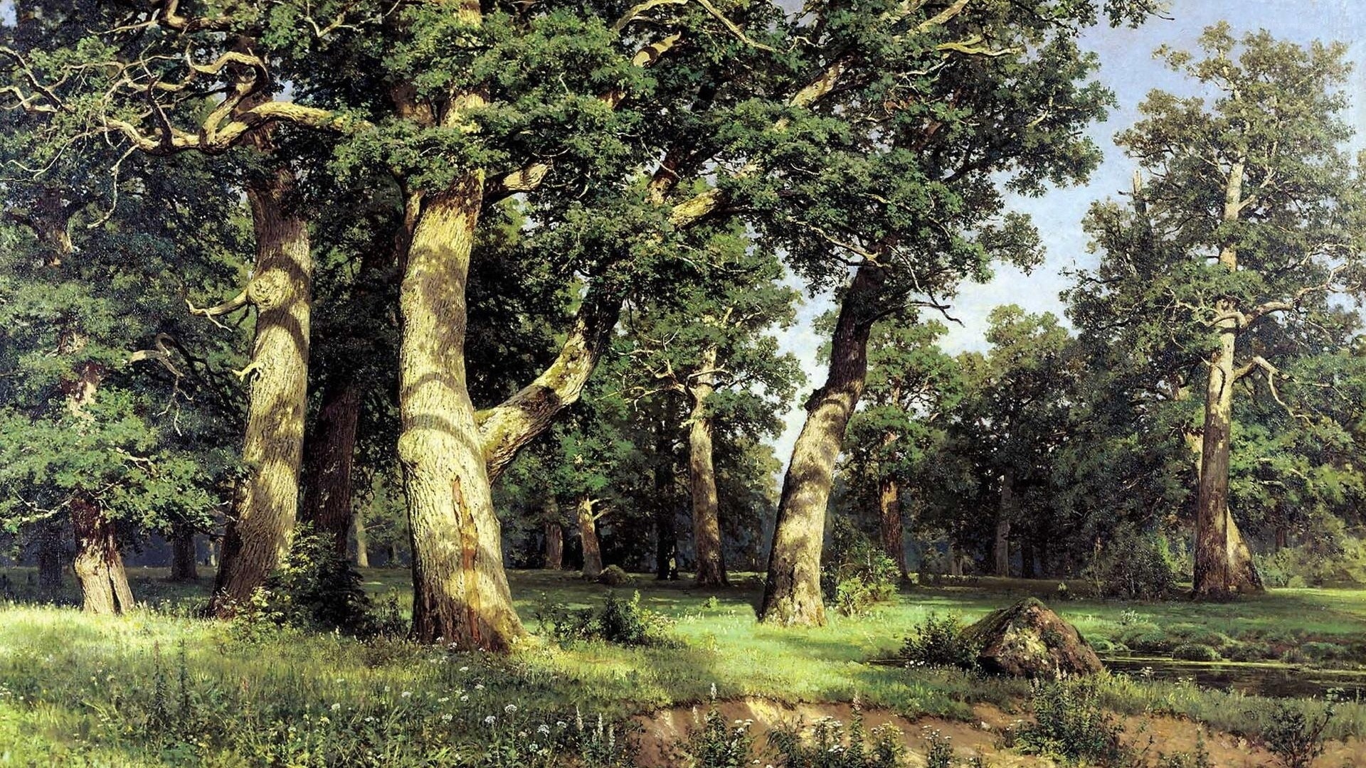 Sunlit Oak Forest Scene