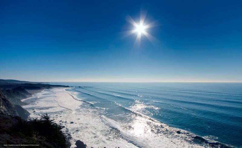 Sunlit ocean coastline