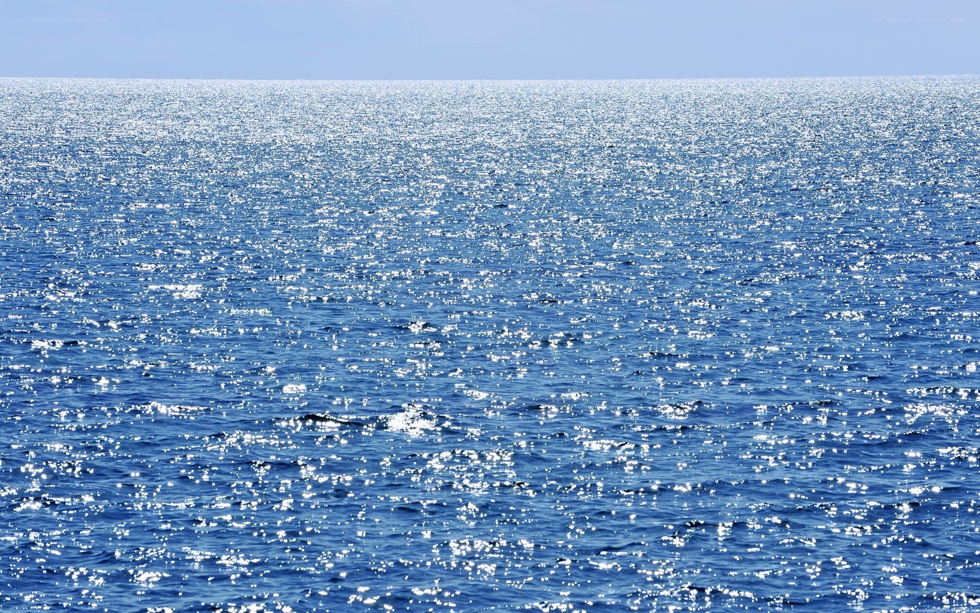 Sunlit ocean surface