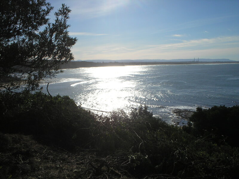 Sunlit Ocean View