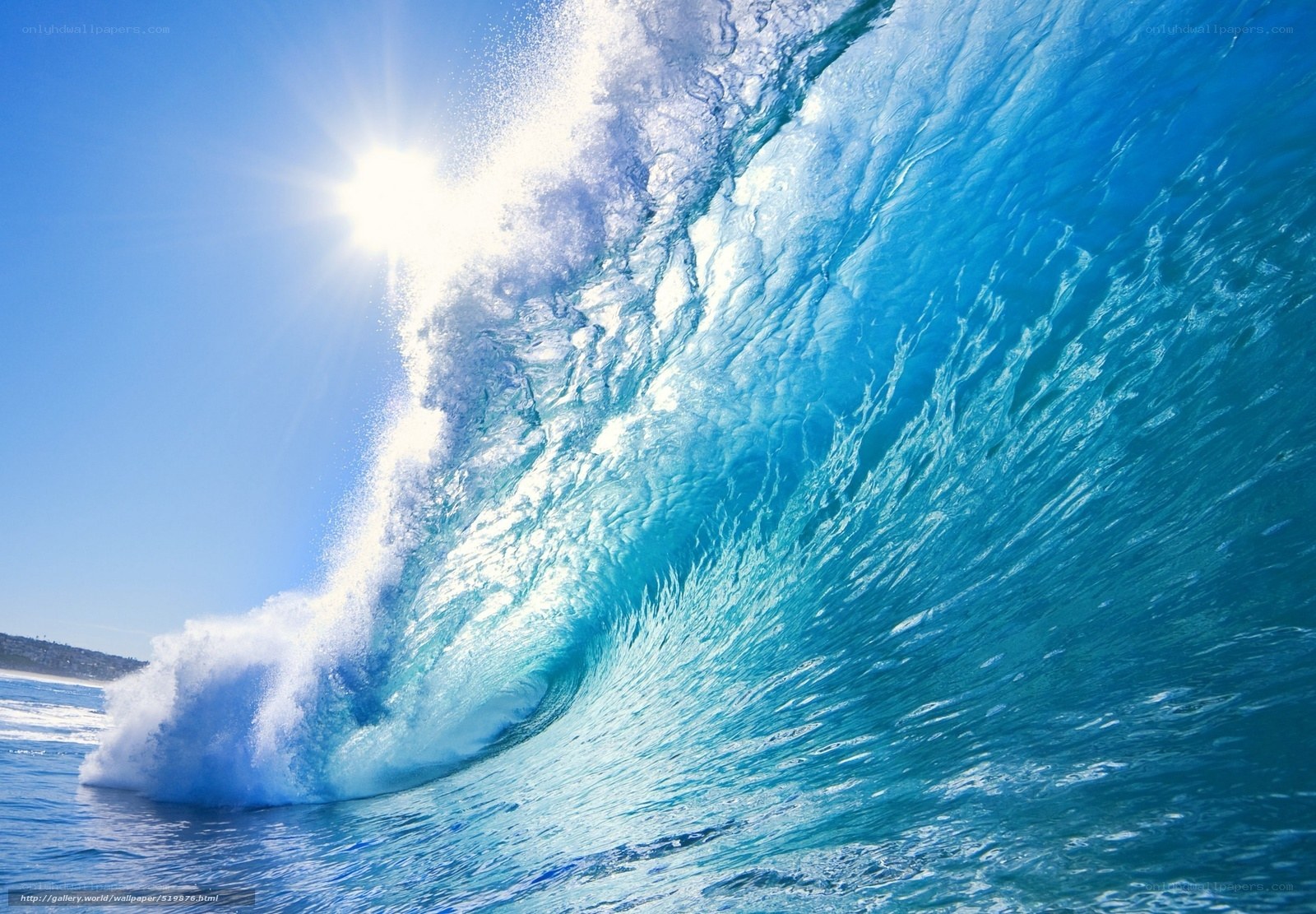 Sunlit ocean wave curling