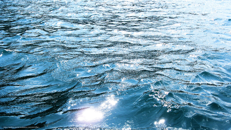 Sunlit ocean waves