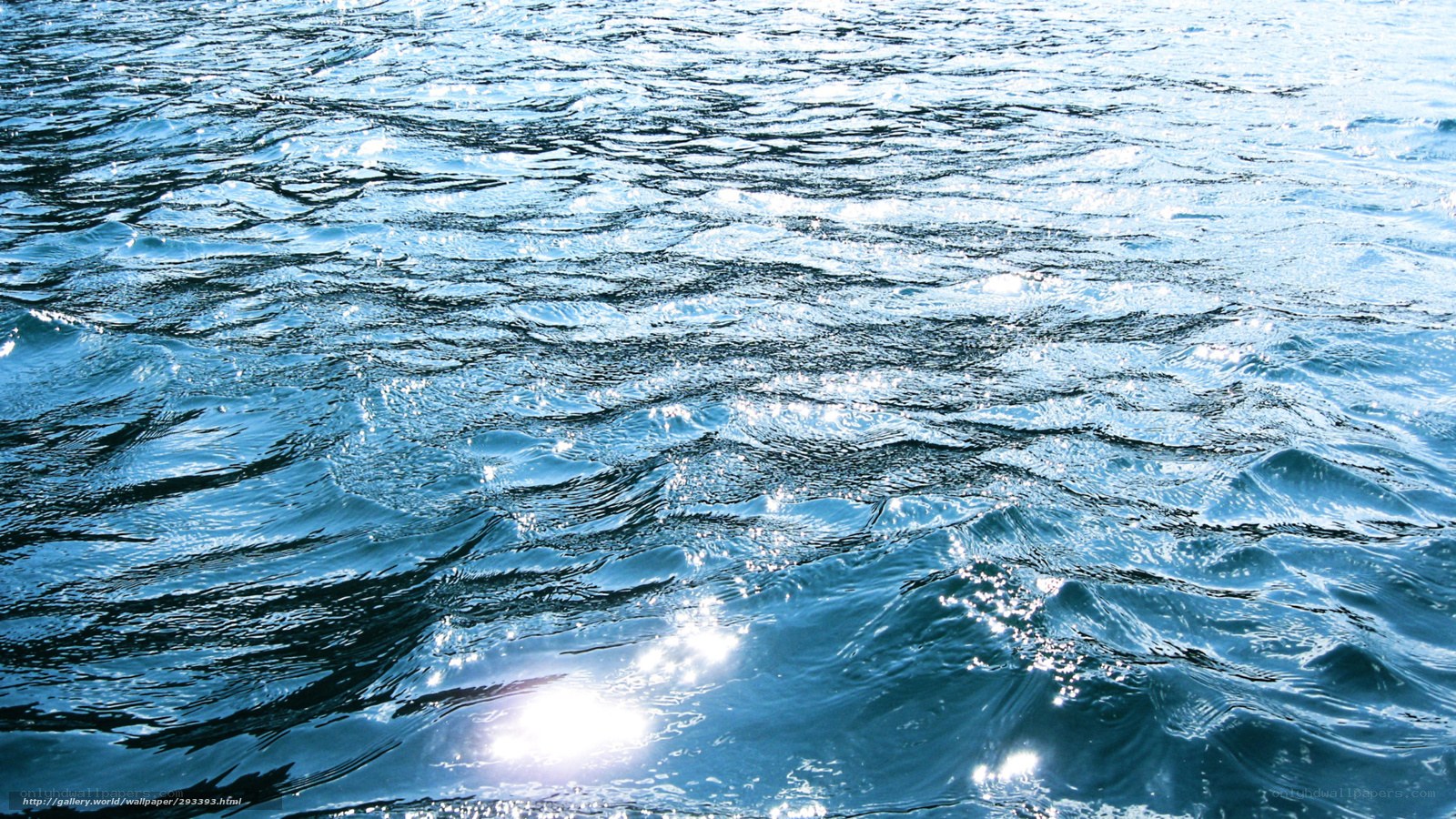 Sunlit ocean waves