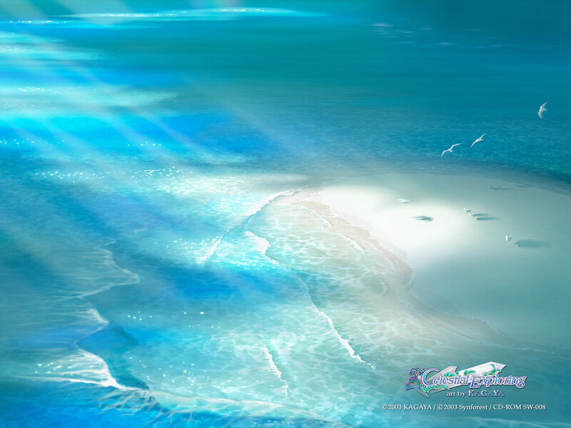 Sunlit ocean with seagulls