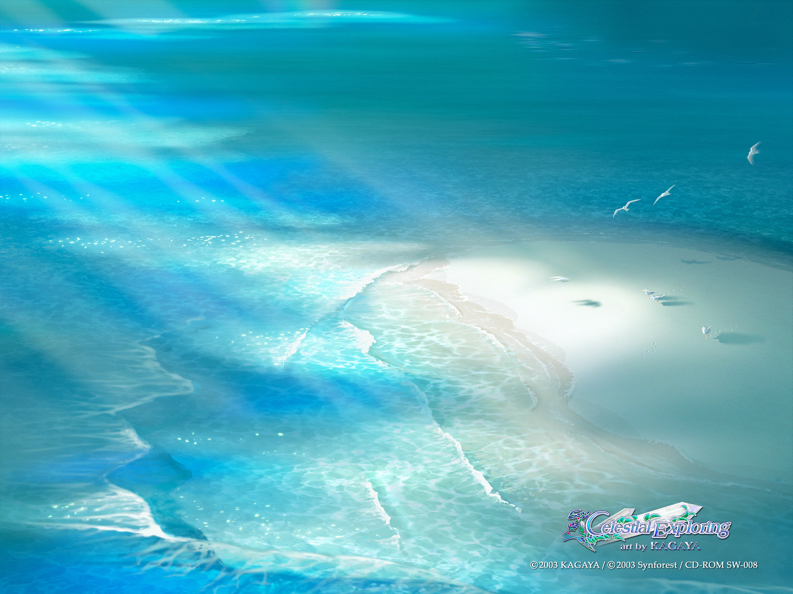 Sunlit ocean with seagulls