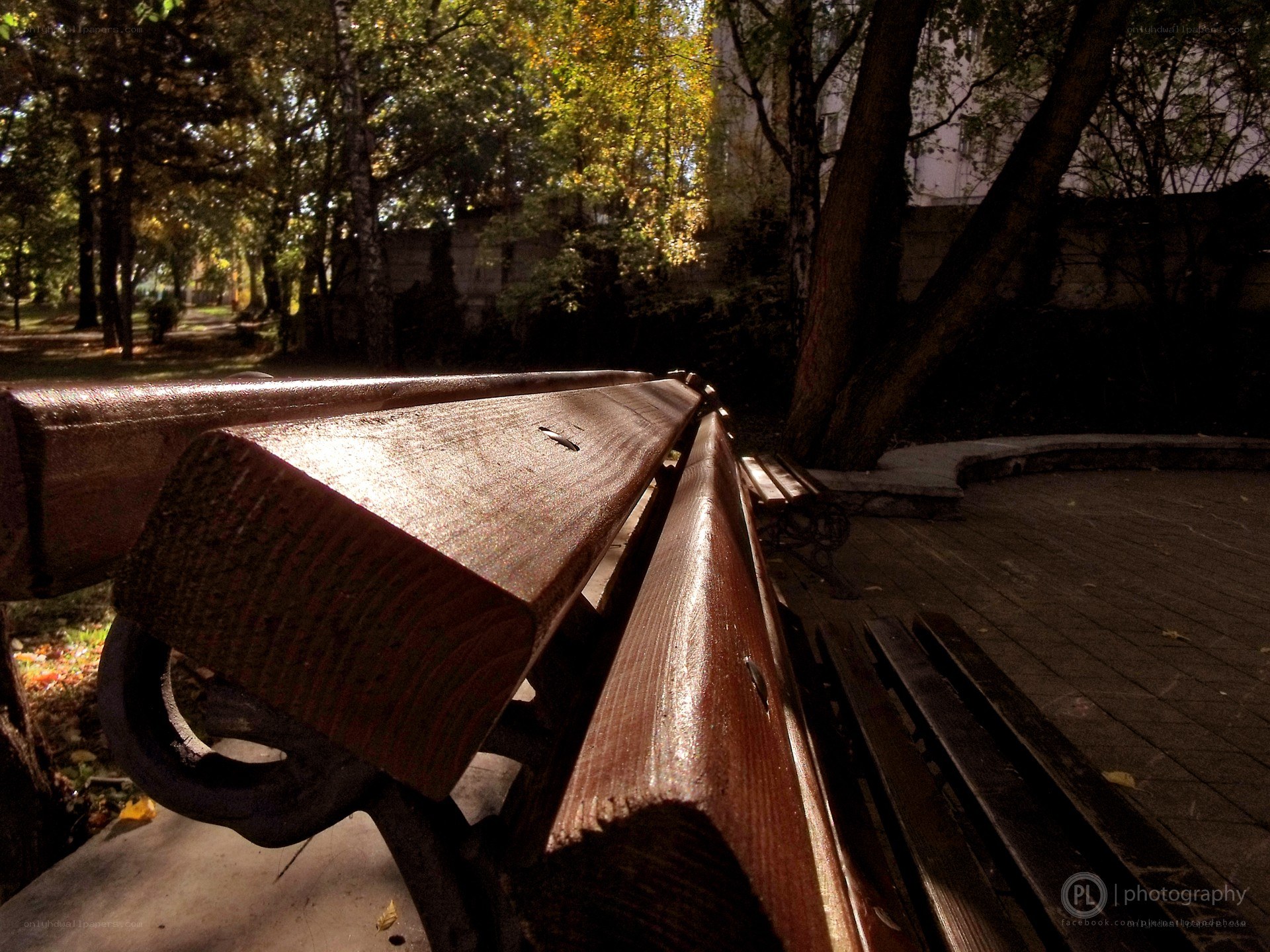 Sunlit park bench in autumn