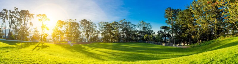 Sunlit Park Field