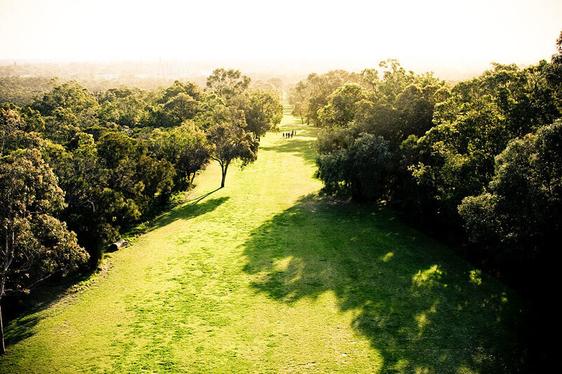 Sunlit park path