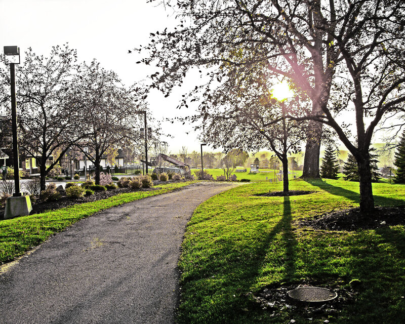 Sunlit park path at dawn