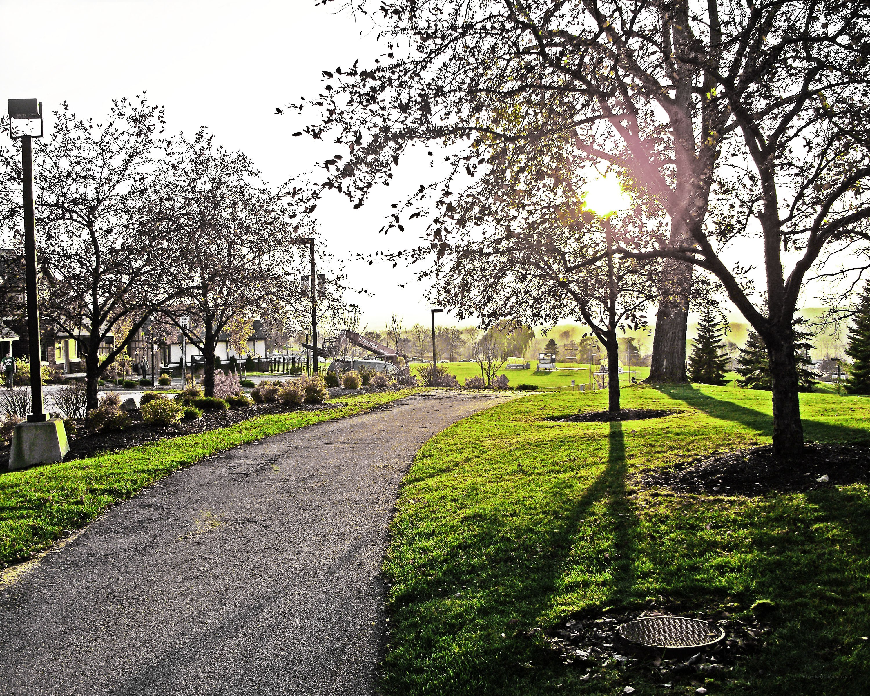 Sunlit park path at dawn