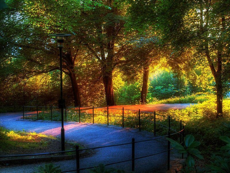 Sunlit park path at dusk