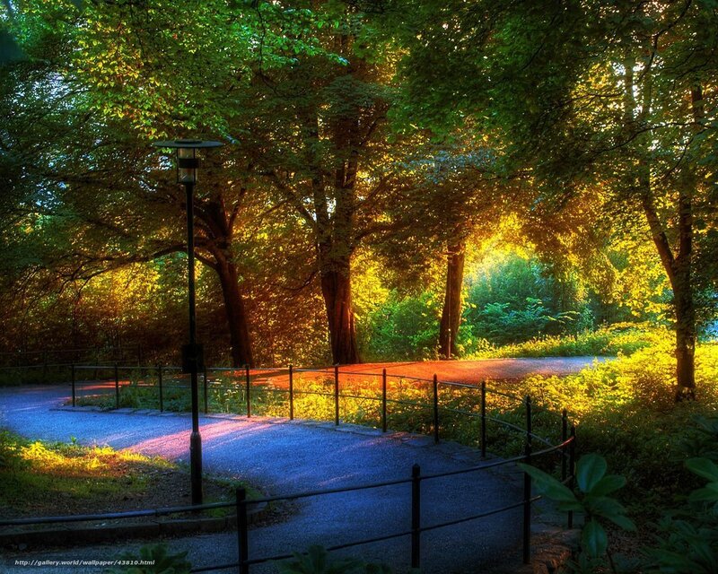 Sunlit Park Path