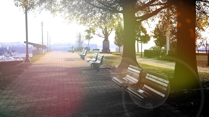 Sunlit park path with benches
