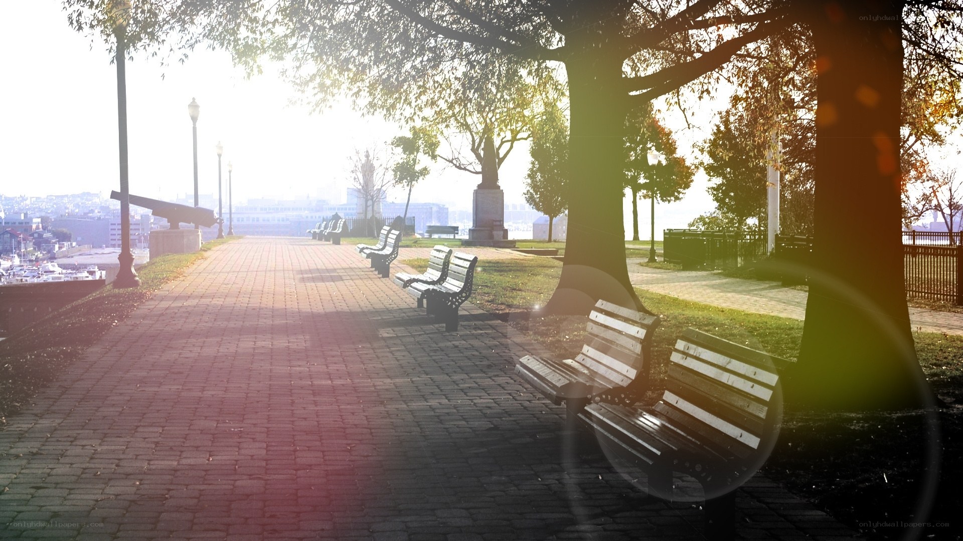 Sunlit park path with benches