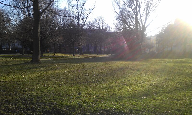 Sunlit park with bare trees