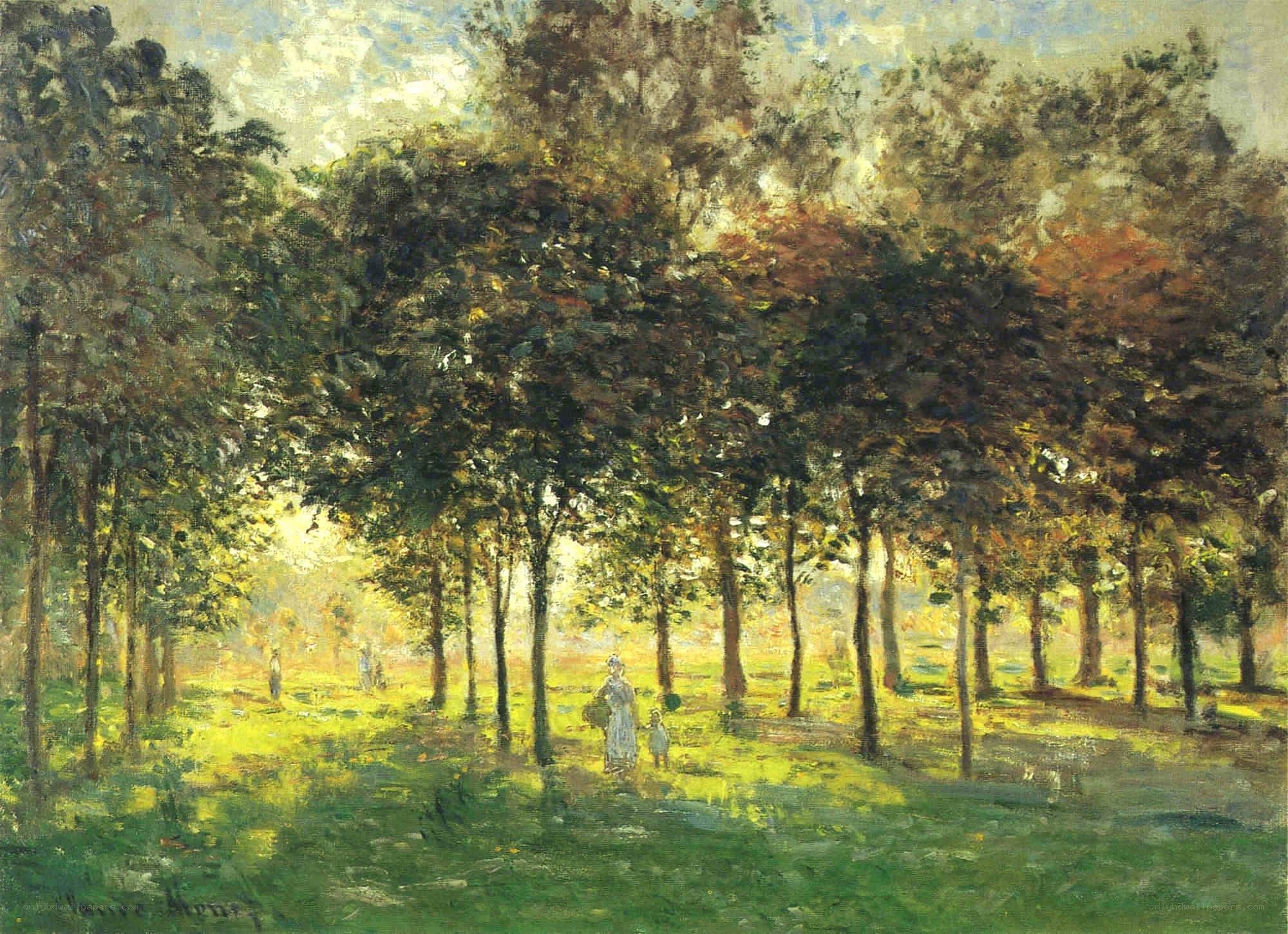 Sunlit Park with Trees