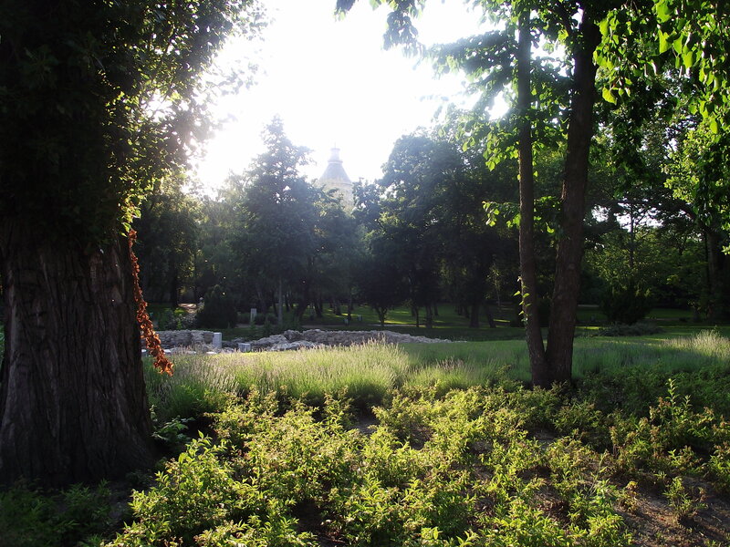 Sunlit Park with Trees — Green